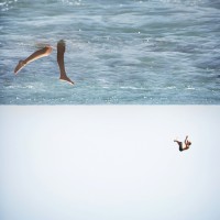 Photography by Brian Oldham Brian Oldham2 200x200 Photography by Brian Oldham