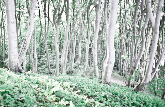 Landscape Photography by Florian Ritter Florian Ritter51 Landscape Photography by Florian Ritter