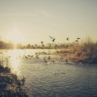 Photography by Kevin van der Leek Kevin van der Leek2 200x200 Photography by Kevin van der Leek