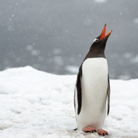 Travel Photography by Kyle Anstey Kyle Anstey2 200x200 Travel Photography by Kyle Anstey
