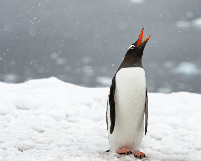 Travel Photography by Kyle Anstey Kyle Anstey2 Travel Photography by Kyle Anstey