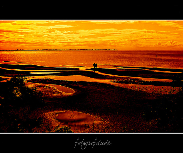 Nature Photography by Lindsay T Lindsay T3 Nature Photography by Lindsay T