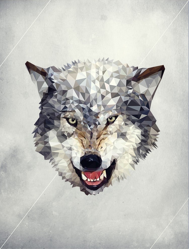 Lobo polygon 750x988 Lobo 