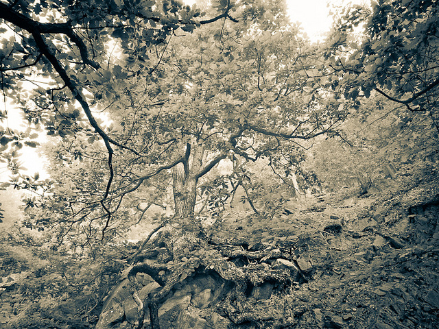 Nature Photography by Martin Liebermann Martin Liebermann Nature Photography by Martin Liebermann