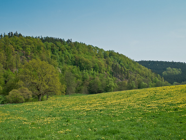 Nature Photography by Martin Liebermann Martin Liebermann5 Nature Photography by Martin Liebermann