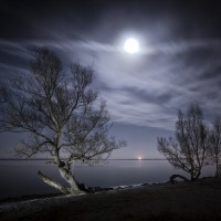Fine Art Photography by Nicolai Perjesi Nicolai Perjesi6 200x200 Fine Art Photography by Nicolai Perjesi