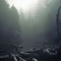 Photography by Nikolaus Gruenwald Nikolaus Gruenwald6 200x200 Photography by Nikolaus Gruenwald