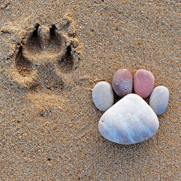 Stone Footprints by Iain Blake Stone Footprints Iain Blake Enpundit 5 Stone Footprints by Iain Blake
