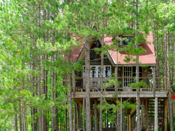 eco tree fort lynne knowlton enpundit 1 Lynn Knowlton’s Eco Friendly Tree Fort