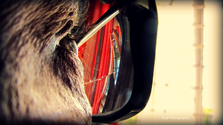 eye1 750x421 Stunning Portrait Photography Inside Arijitbook