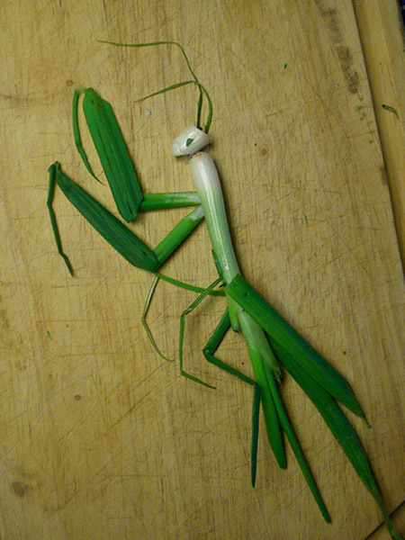 food art scallion 12 Amazing Food Arts