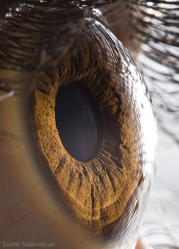 Extreme Close Ups Of Human Eyes human eyes close up enpundit 31 Extreme Close Ups Of Human Eyes