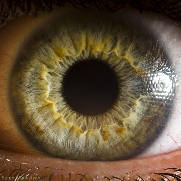 Extreme Close Ups Of Human Eyes human eyes close up enpundit 4 Extreme Close Ups Of Human Eyes