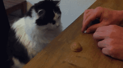 Amazing animated gifs #2 i1a1 Amazing animated gifs #2