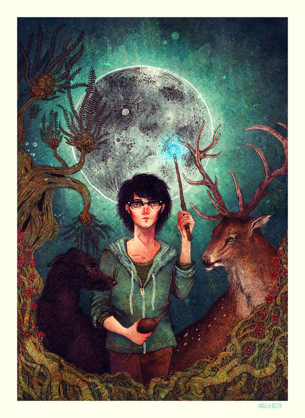 i1a180 Harry Potter by Angela Rizza