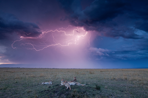Amazing Photographs of Lightning i1a3 Amazing Photographs of Lightning