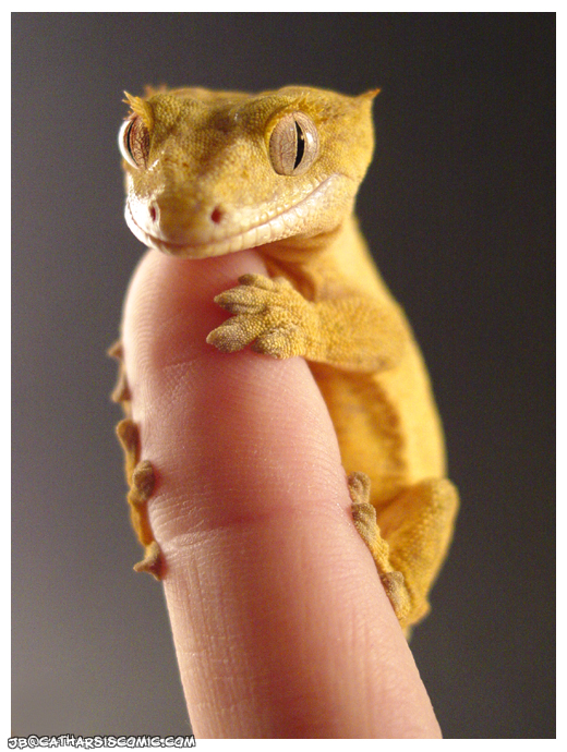Daily Inspirations no. 437 i1a5 Daily Inspirations no. 437