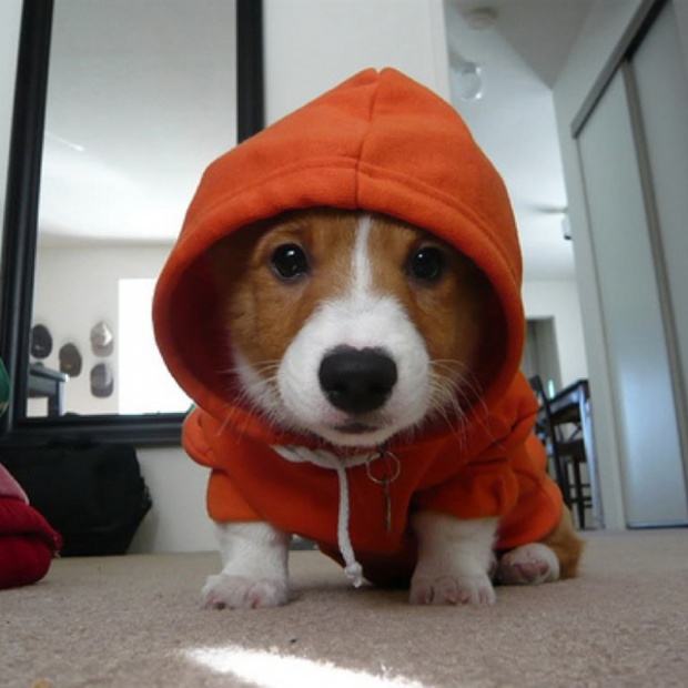 Cool and funny gadgets #2 i1c161 Cool and funny gadgets #2