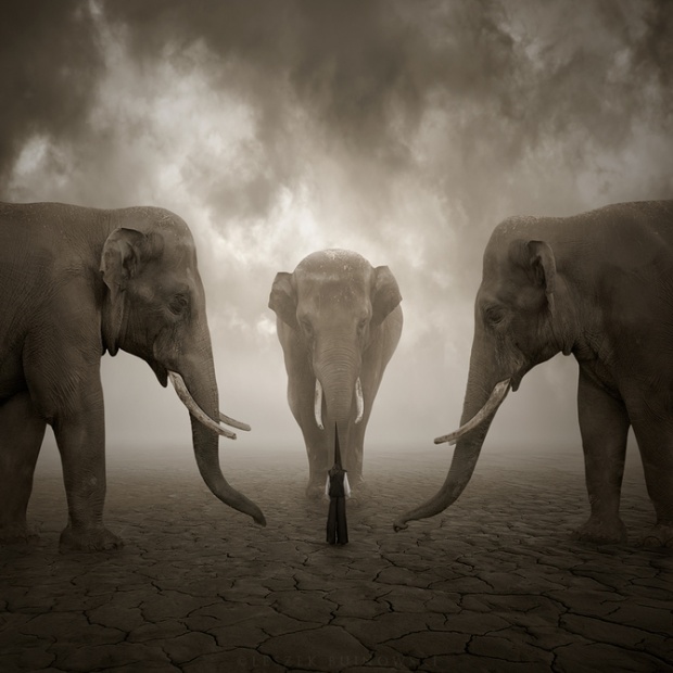 i1c213 Photoart by Leszek Bujnowski