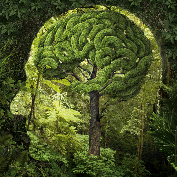 Surreal Illustrations by Igor Morski Surreal Illustrations by Igor Morski