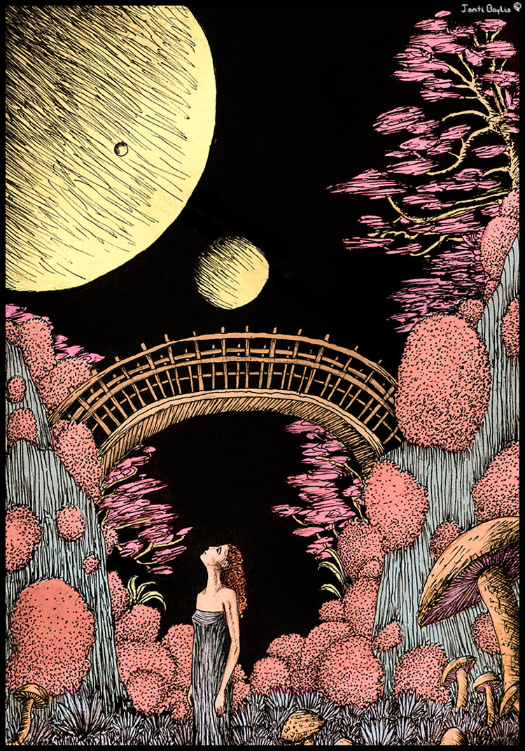 jb1 Illustrations by Jonti Baylis