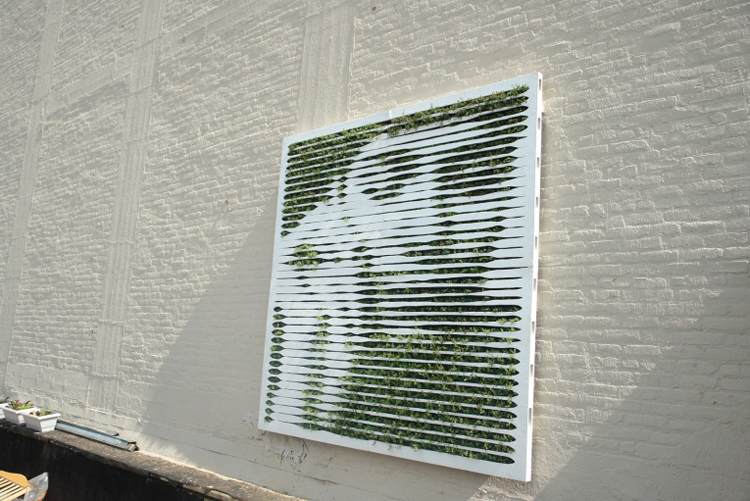 Mosstika Urban Greenery mosstika green wall2 Mosstika Urban Greenery