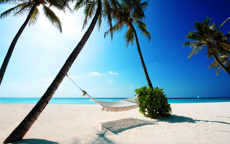 Beautiful wallpapers for your screen palms and hammock 1280x800 wallpaper 54312 Beautiful wallpapers for your screen