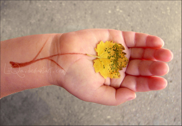 photography 7 Conceptual Photography By Liiqa