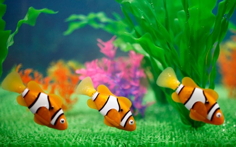 Robo Fish swim the waters at Tokyo toy show robot fish 2249177k 750x468 Robo Fish swim the waters at Tokyo toy show