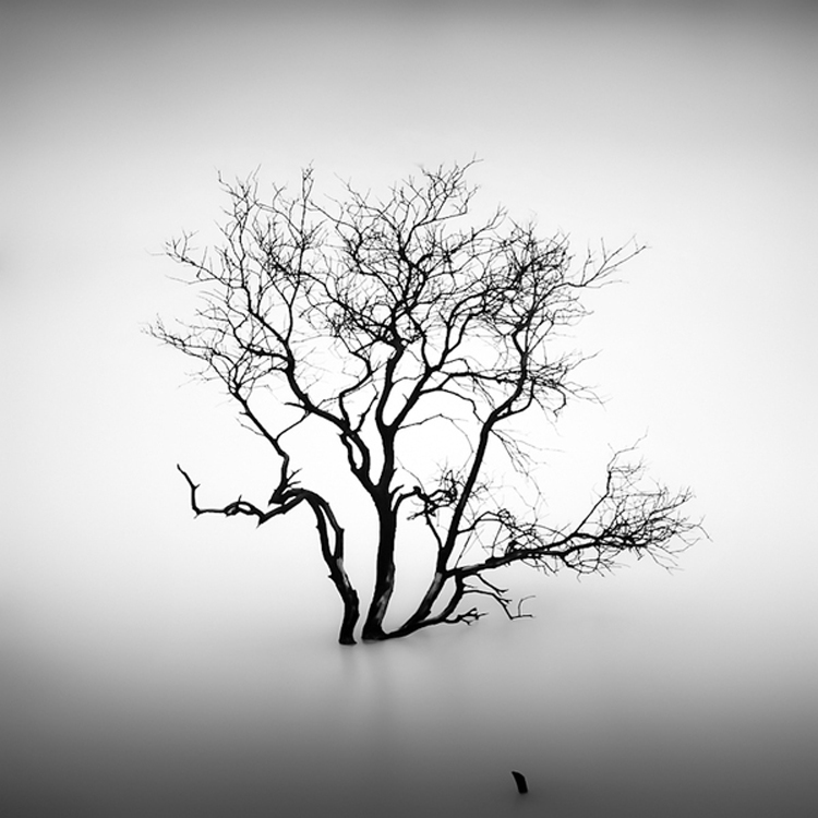 Sparse by Hengki Koentjoro sparse5 Sparse by Hengki Koentjoro