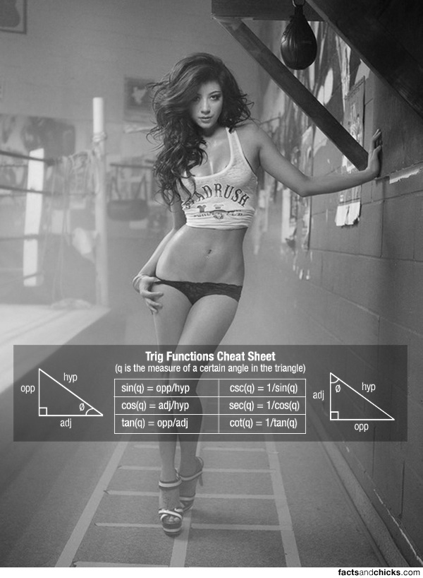 Facts and Chicks tumblr m2wuq0VDqB1r3tp7bo1 1280 Facts and Chicks