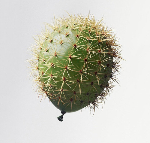 tumblr m61k81dlJK1rse1ipo1 500 The Balloon