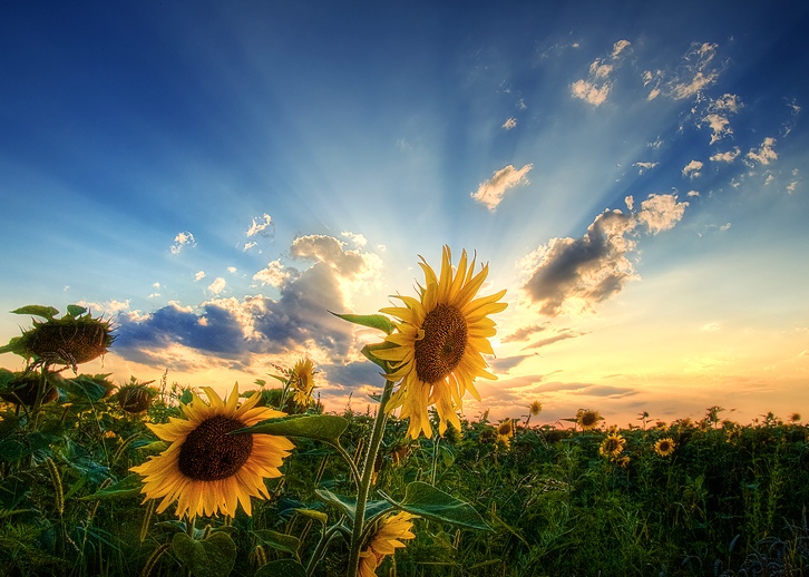 10213 Amazing Photography 2 30 Great Examples of Amazing Photography to Inspire You