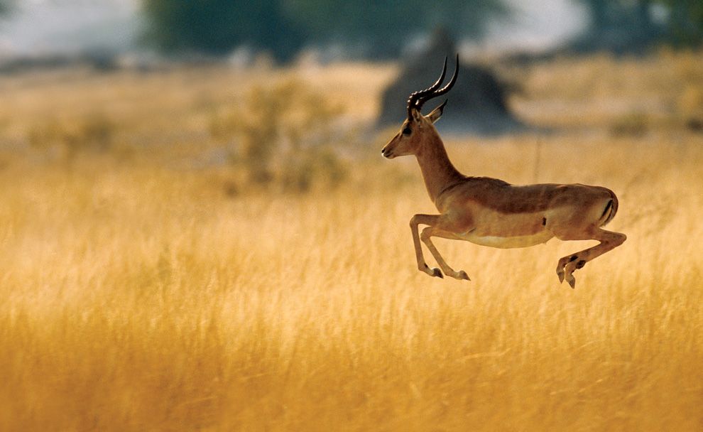 15 Simply Beautiful Photos From National Geographic 15 Simply Beautiful Photos From National Geographic 2 15 Simply Beautiful Photos From National Geographic