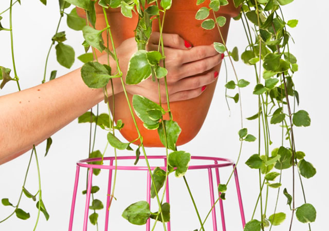Casa Bosques planters 1o4 Casa Bosques planters