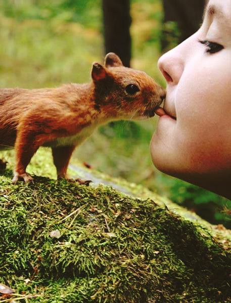 Cute Animals To Refresh Your Mind 255Animals 3 Cute Animals To Refresh Your Mind