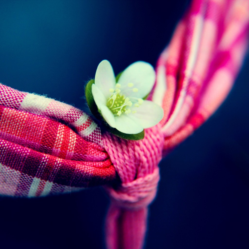 278 iPadWallpapers 2 65 High Quality Beautiful iPad Wallpapers