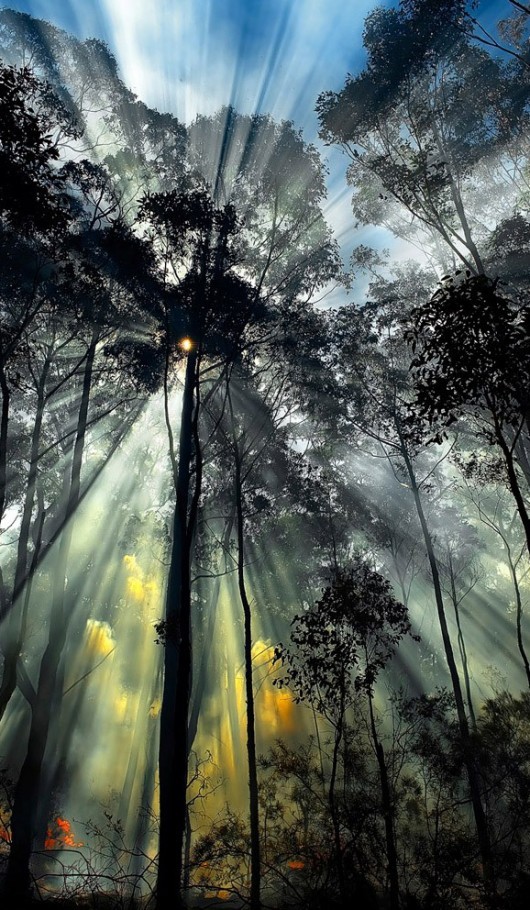 50 Beautiful Photographs Found On Pinterest BeautifulPhotographs 1 50 Beautiful Photographs Found On Pinterest