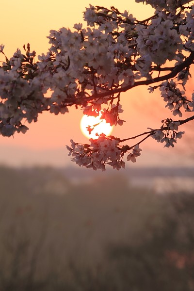 50 Beautiful Photographs Found On Pinterest BeautifulPhotographs 8 50 Beautiful Photographs Found On Pinterest