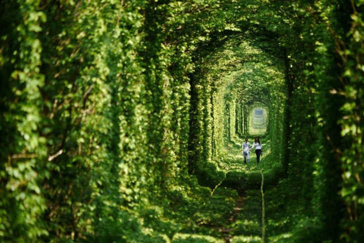  Secret Ukranian Garden Tunnel