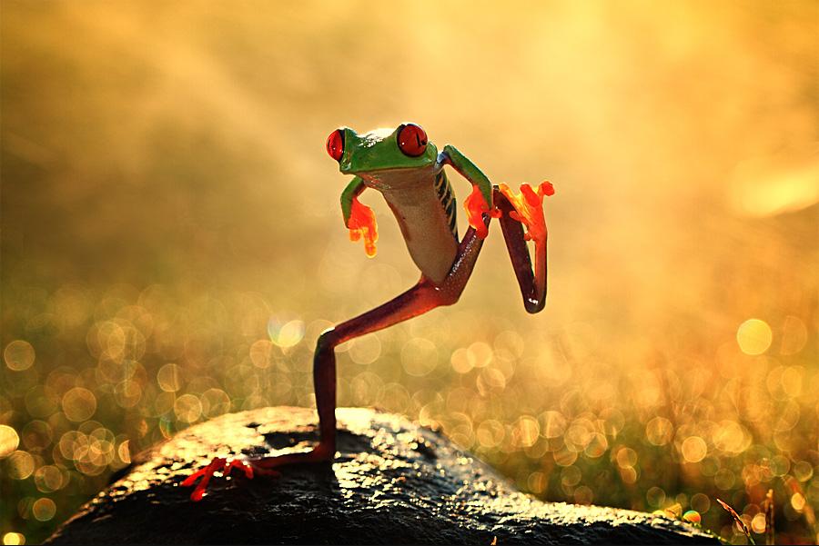 I am a Dirty Dancer Dirty Dancer