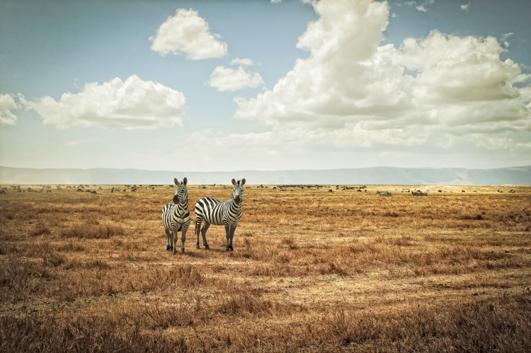 African Landscapes by Justin Carrasquillo JCarrasquilloAfrica12 750x499 African Landscapes by Justin Carrasquillo