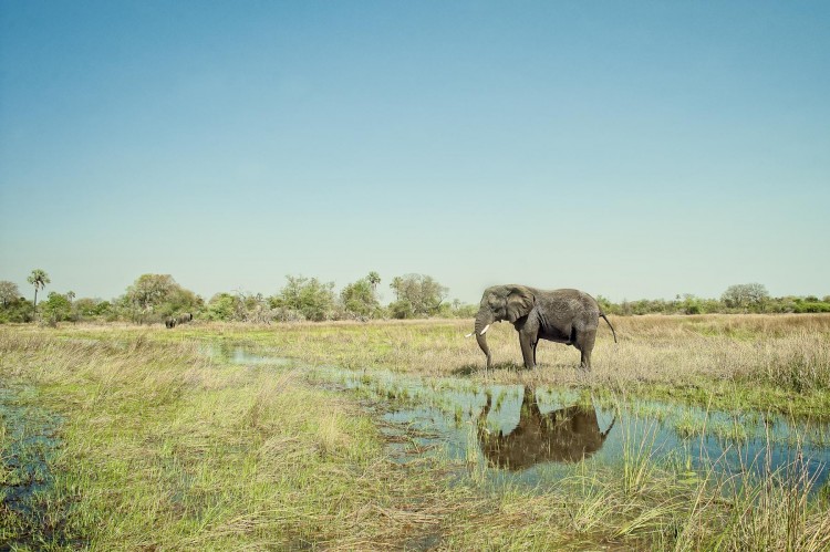 African Landscapes by Justin Carrasquillo JCarrasquilloAfrica21 750x499 African Landscapes by Justin Carrasquillo