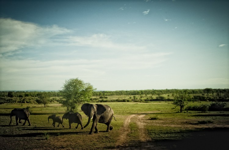 African Landscapes by Justin Carrasquillo JCarrasquilloAfrica32 750x491 African Landscapes by Justin Carrasquillo