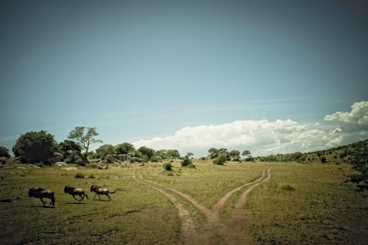 African Landscapes by Justin Carrasquillo JCarrasquilloAfrica42 750x499 African Landscapes by Justin Carrasquillo
