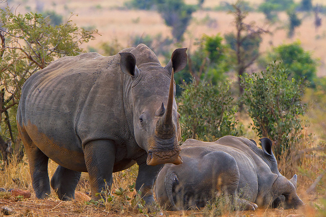 Nature Photography by Leon Molenaar Leon Molenaar Nature Photography by Leon Molenaar