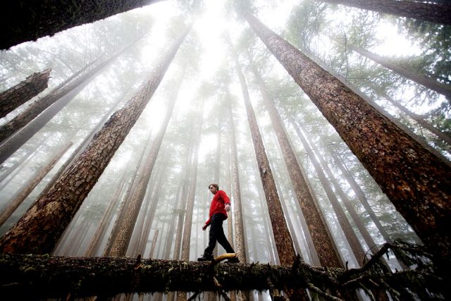 Most Beautiful National Geographic Photographs 1 Most Beautiful National Geographic Photographs