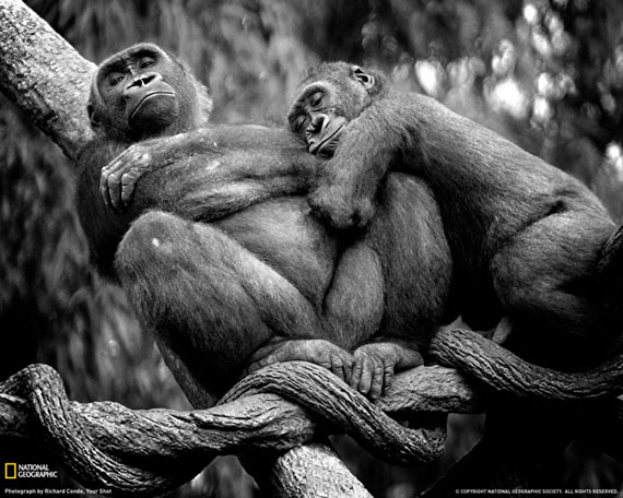 BLACK & WHITE PHOTOS OF NATIONAL GEOGRAPHY National Geography Photos 13 BLACK & WHITE PHOTOS OF NATIONAL GEOGRAPHY