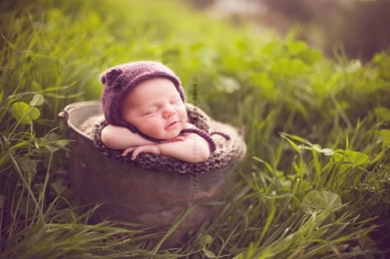 Newborn Baby Photography By Carrie Sandoval, California Newborn Baby photo 2 550x365 Newborn Baby Photography By Carrie Sandoval, California