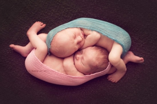 Newborn Baby Photography By Carrie Sandoval, California Newborn Baby photo 4 550x366 Newborn Baby Photography By Carrie Sandoval, California